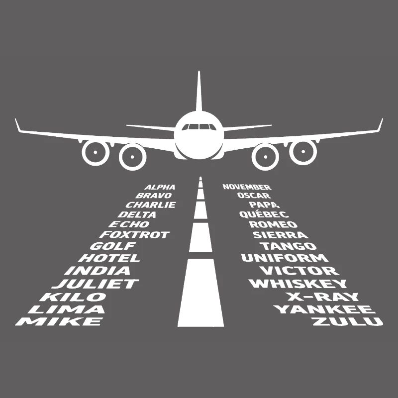 Flugzeug Flug Pilot Flugzeug Fluggesellschaft
