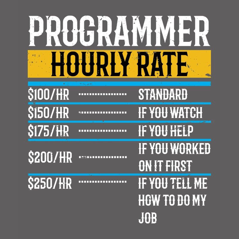 Programmer Funny Hourly Rate