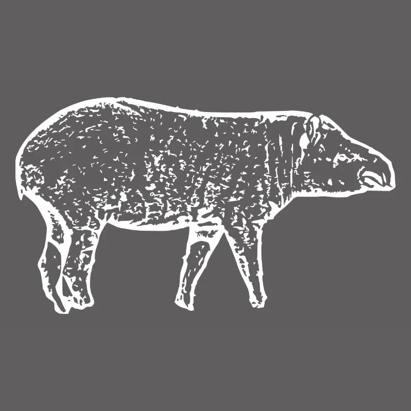 Tapirs
