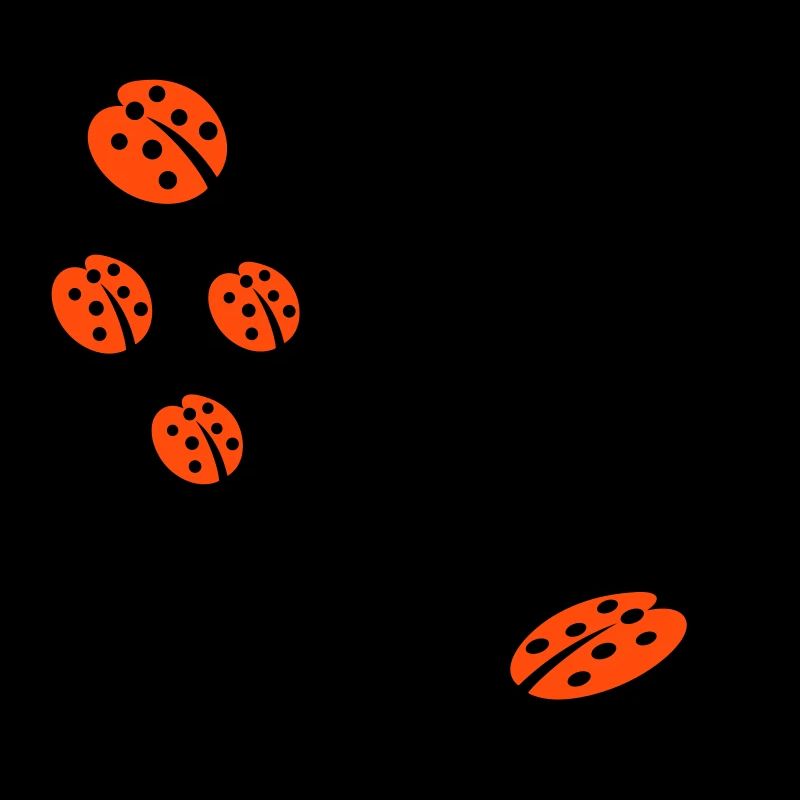 ladybug marienkaefer