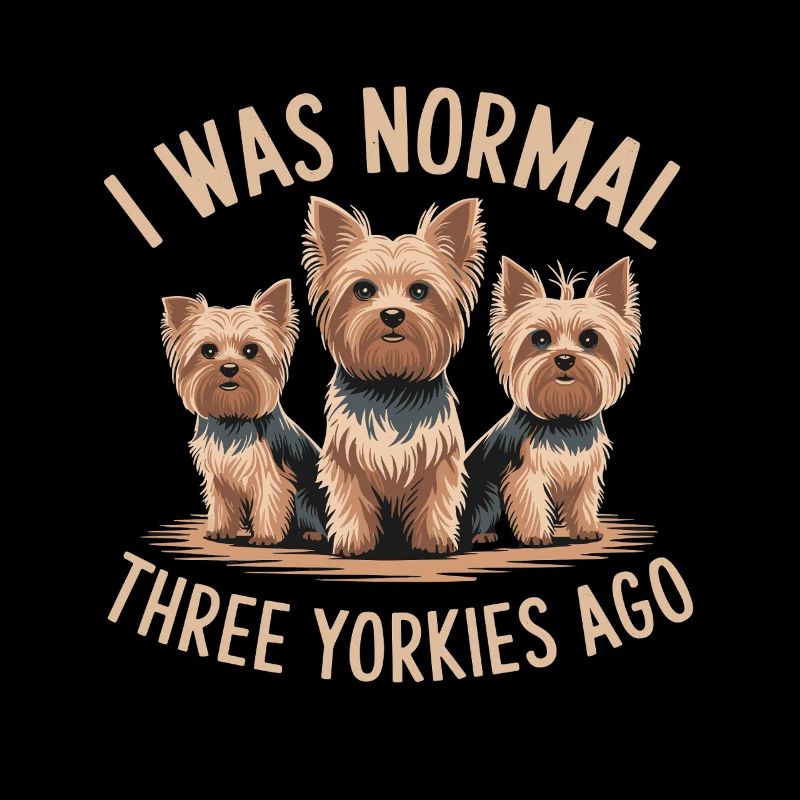 J’étais normal devant trois Yorkies Yorkshire Terrier