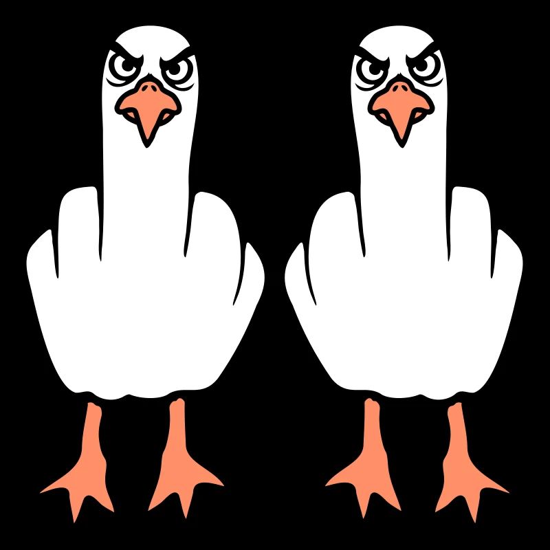 2 Seagulls Doigt d’honneur Insulte Stinkfinger Équipe