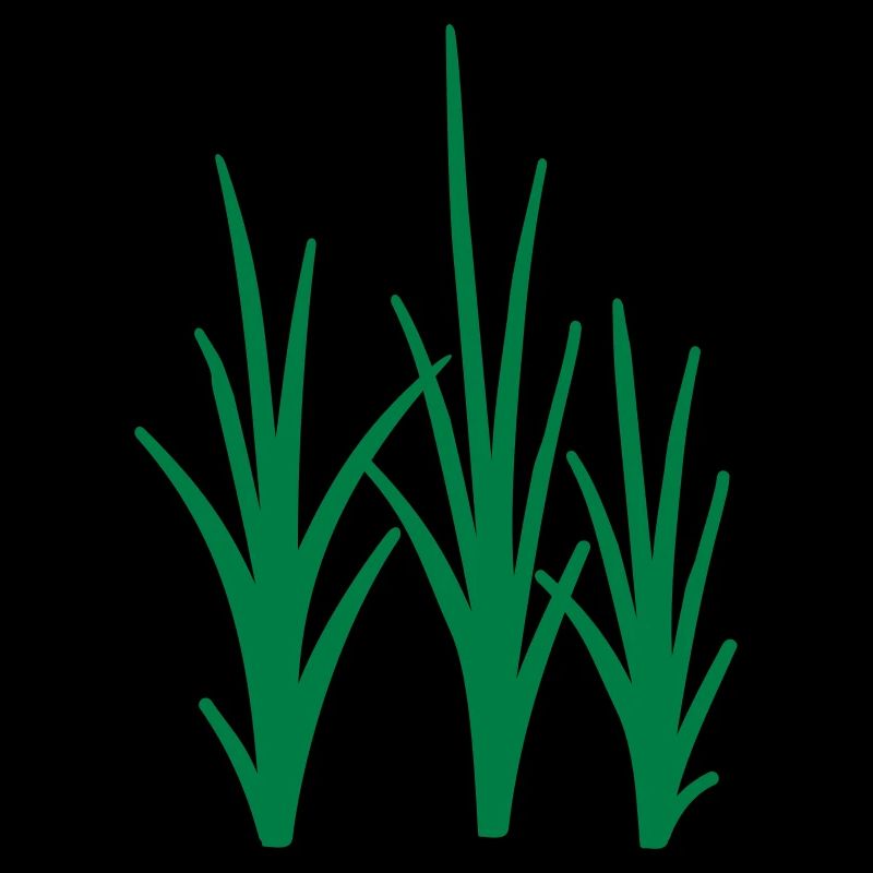 Gras