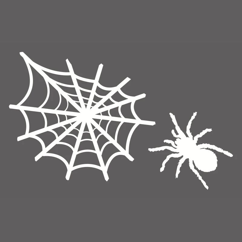 spider spider web