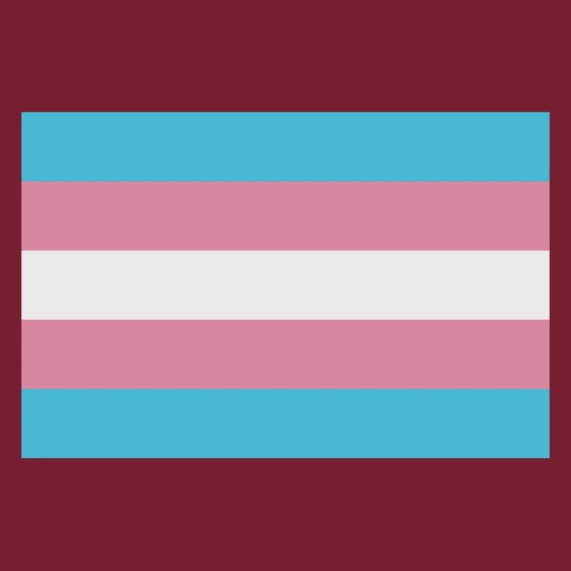 Trans-Flagge