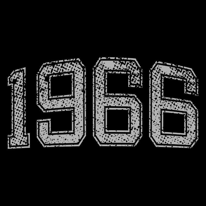 1966 années