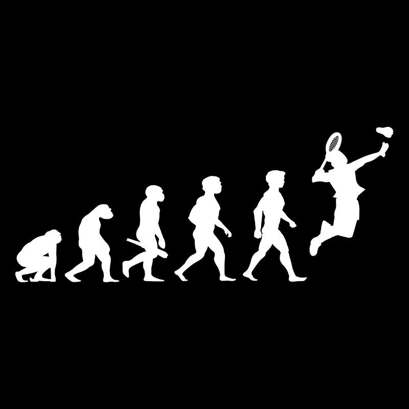 Evolution badminton shuttlecock shuttlecock player