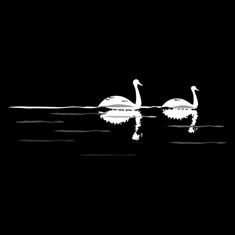 swans at night