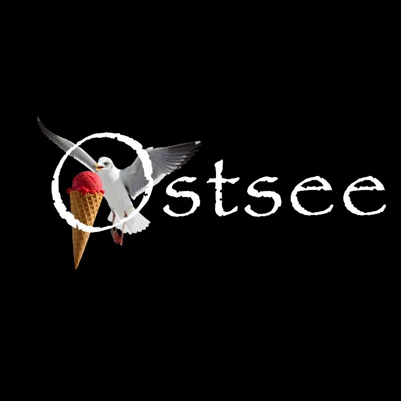 Ostsee Möwe Eisräuber Raubvogel