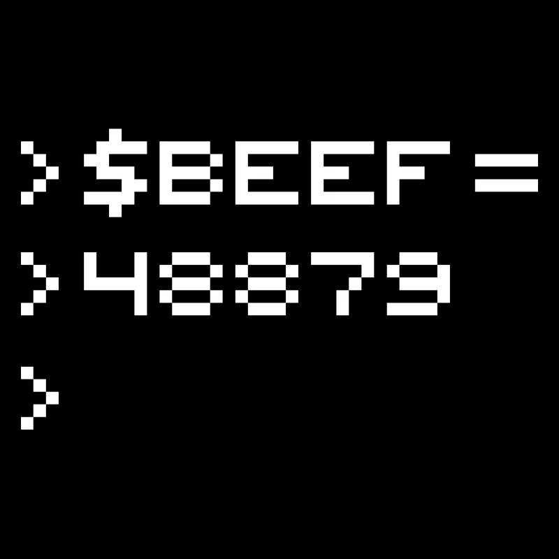 BEEF 8-Bit Code Nerd Pixel Terminal Retro