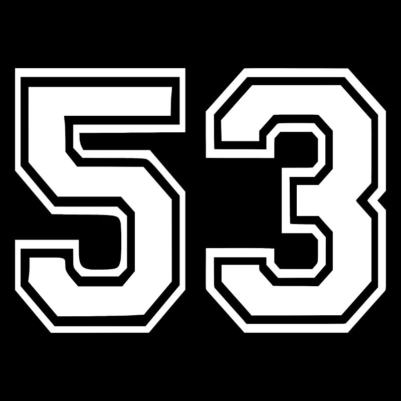 53