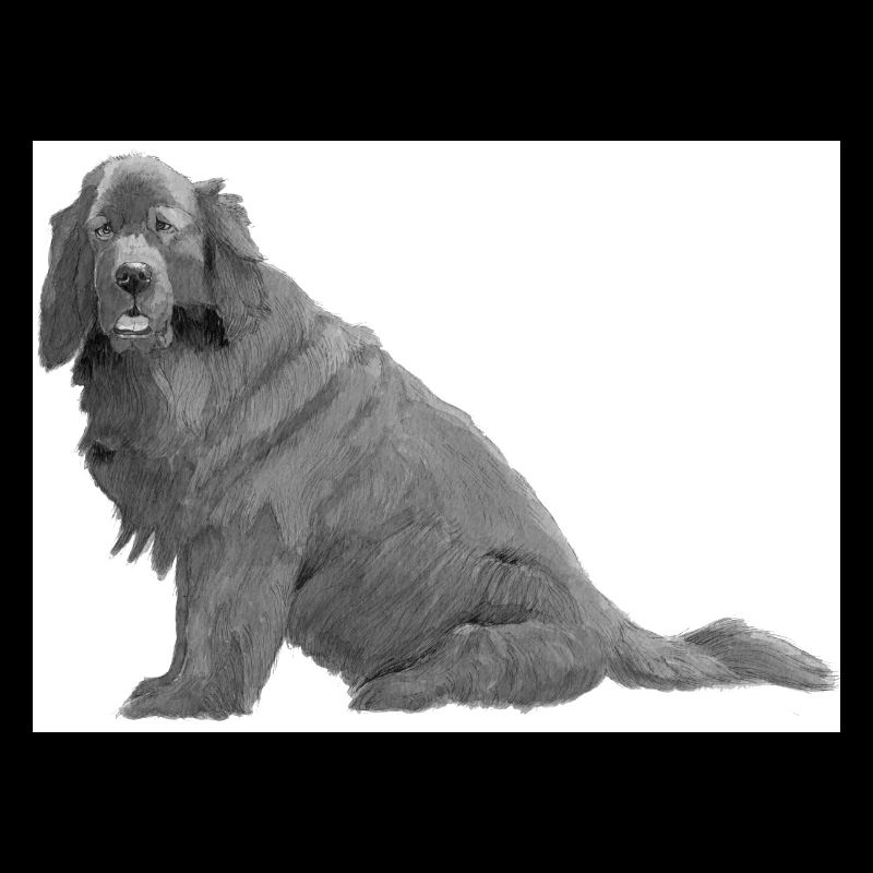 New Foundland Sticker