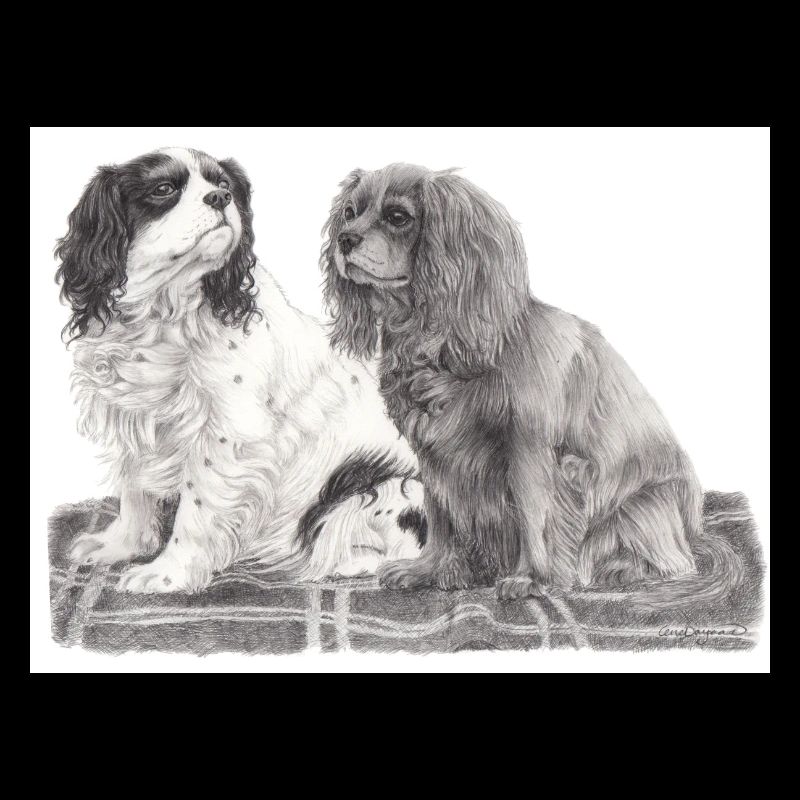 Cavalier King Charles Spaniel Aufkleber