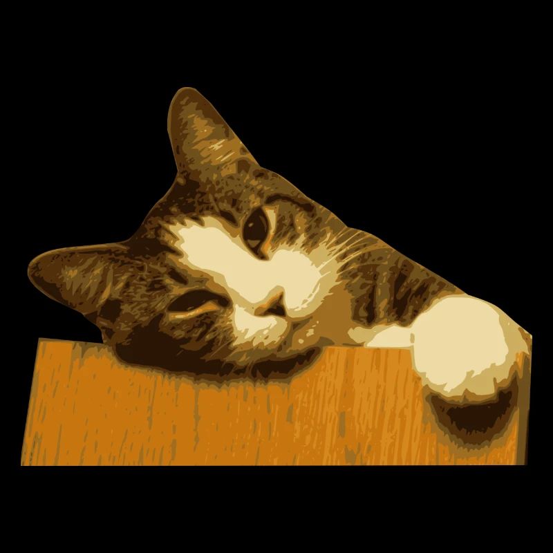 CAT COLLECTION 2017