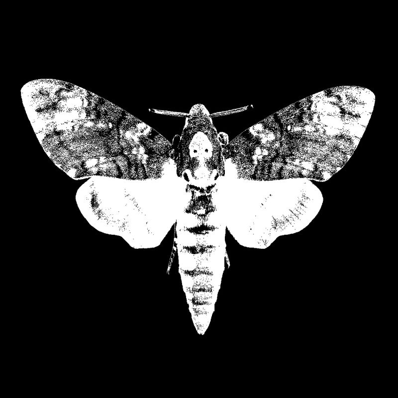 Acherontia atropos black negative