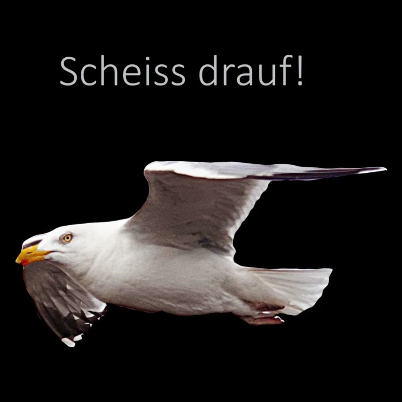 Möwe im Flug Spruch