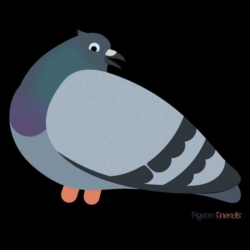 Pigeon pigeons