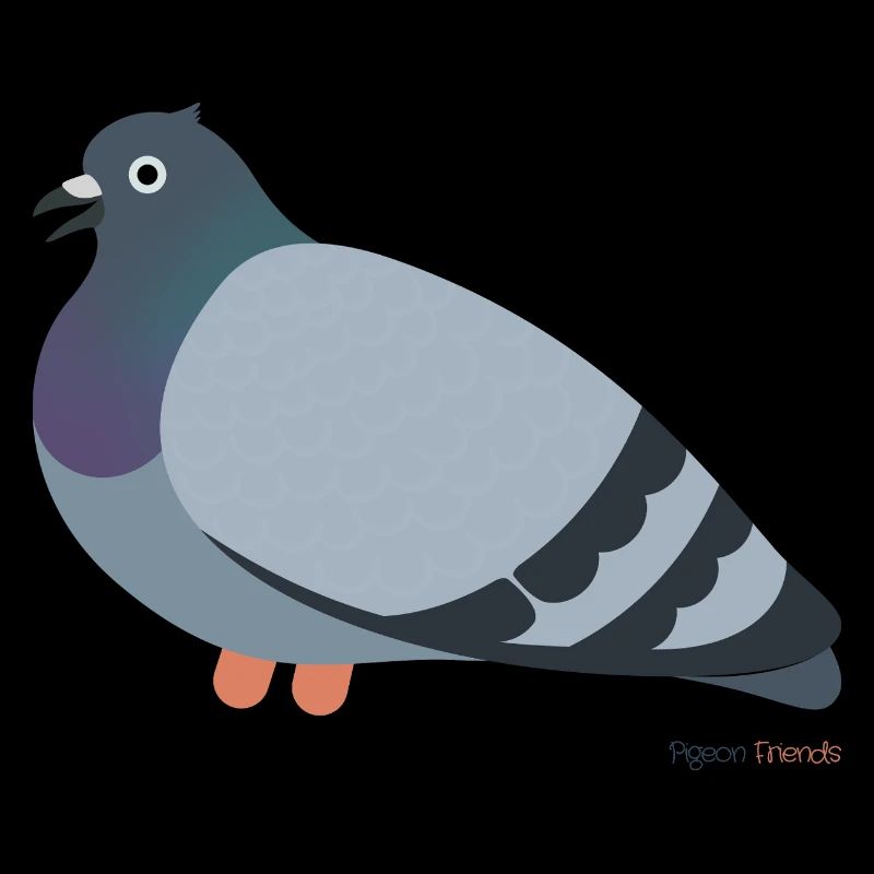 Pigeon Bird