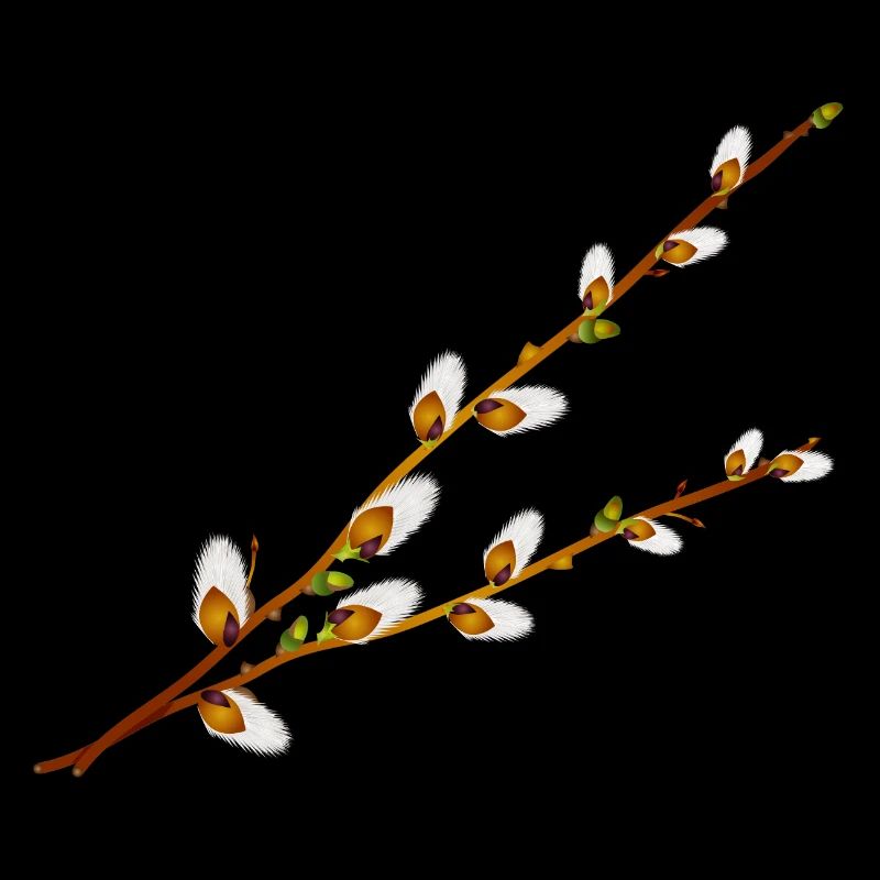 Branches délicates de manche de palmier – Motif printanier