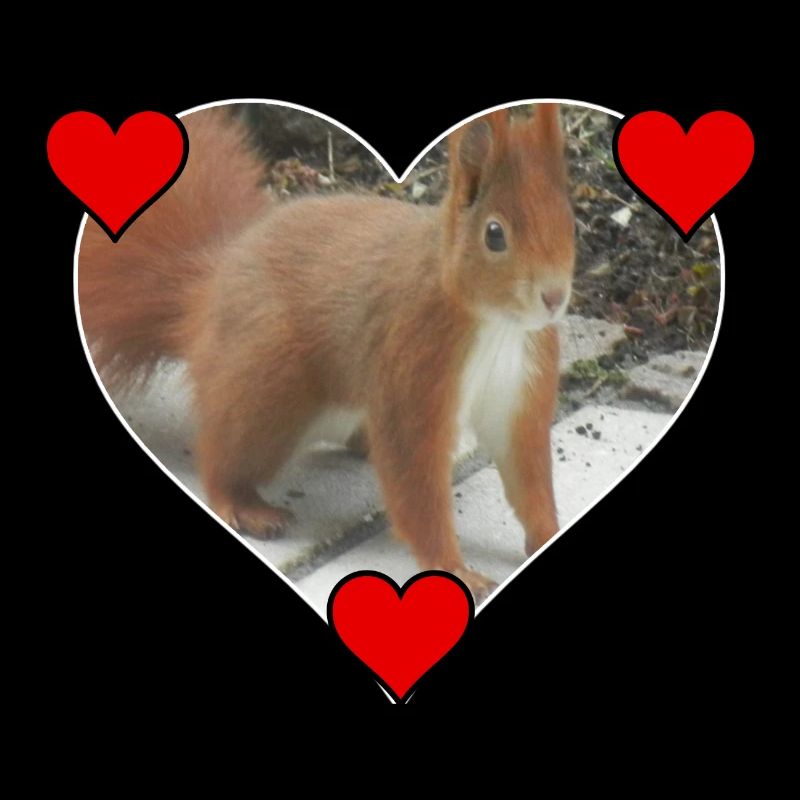 Eichhörnchen Squirrel Liebe Love Herz