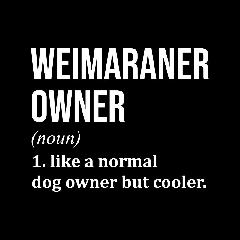 Weimaraner
