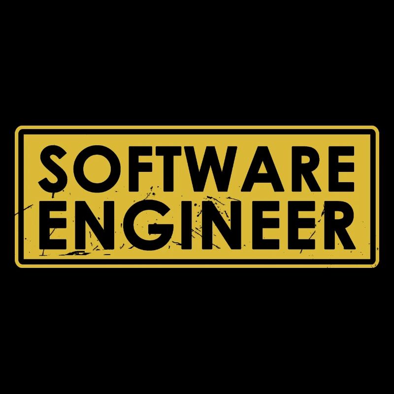 Software-Ingenieur