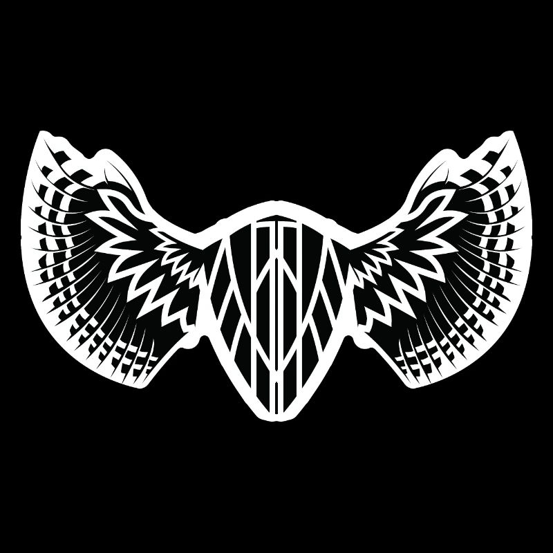 The Mystical Winged Ancient Shield