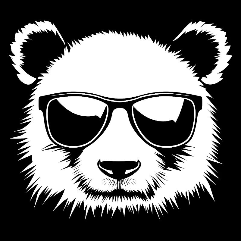 Illustration de lunettes de soleil panda