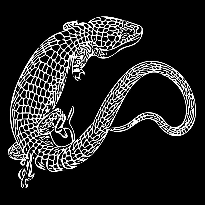 Salamandre illustrée aux écailles blanches
