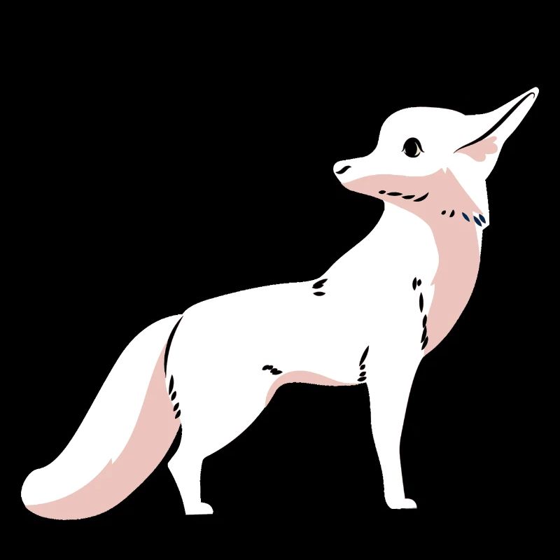 Wildlife Fox Foxes Children Arctic Snow Zoo