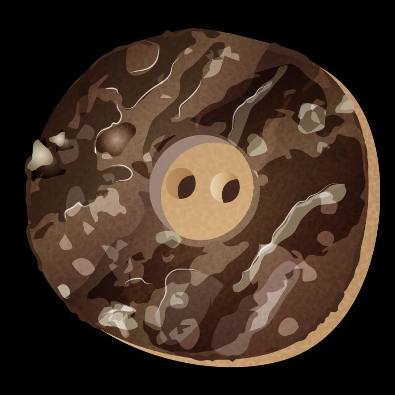 rustic button in staghorn look