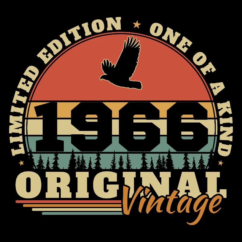 1966 Vintage Retro Birthday Gift