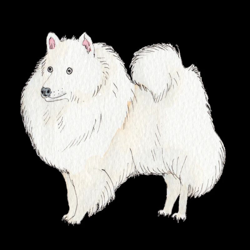 Japanischer Spitz Hund Aufkleber