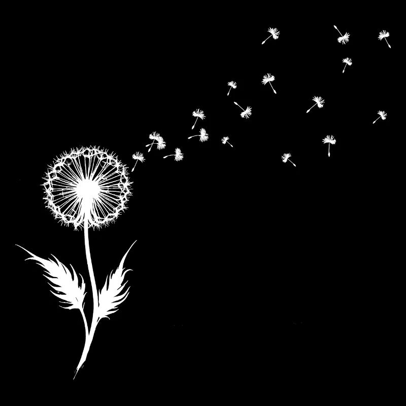 Silhouette de graines de pissenlit