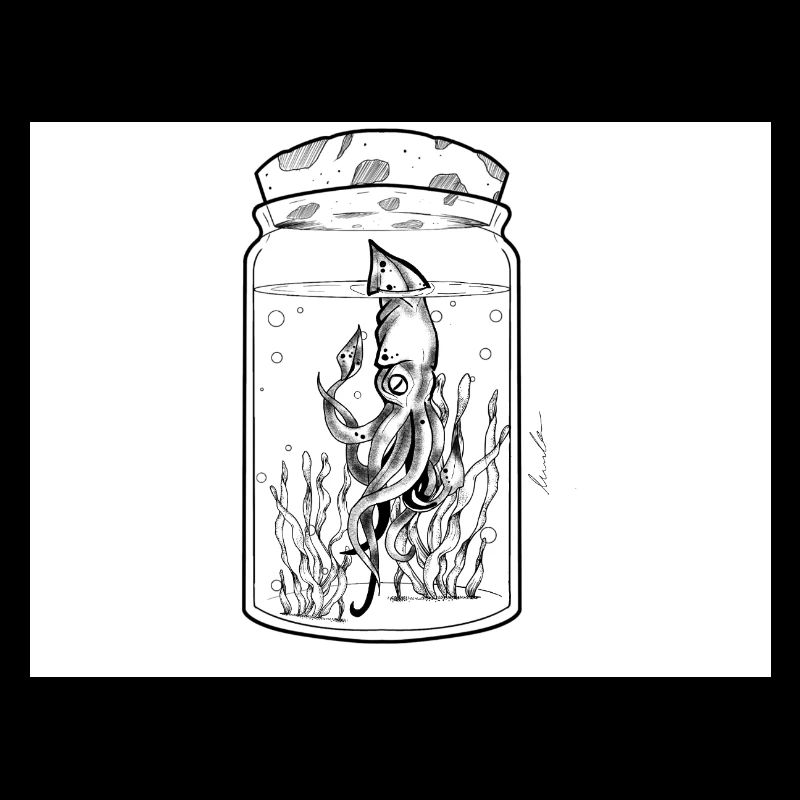 Squid