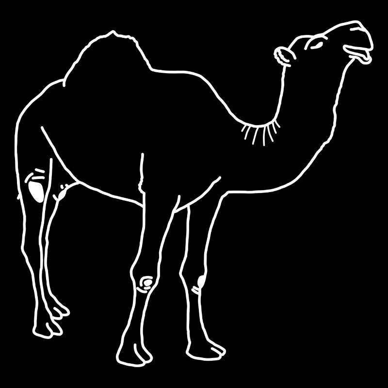 Dromedary lineart