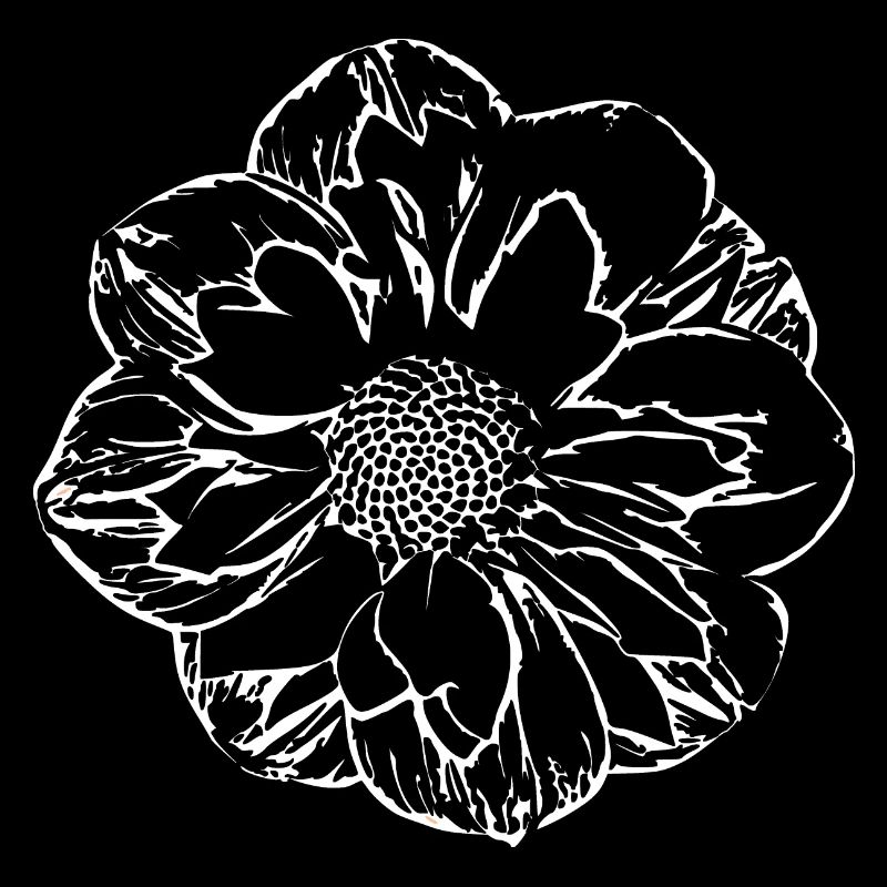 Fleur, Noir, Fleurs, Noir, Fleur