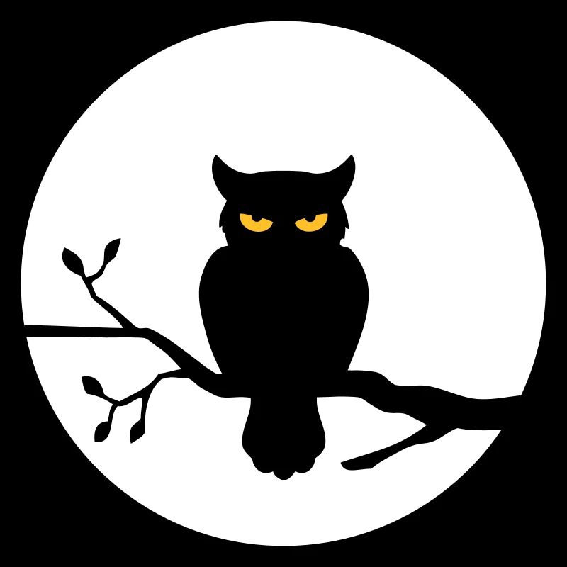 Eule im Vollmond