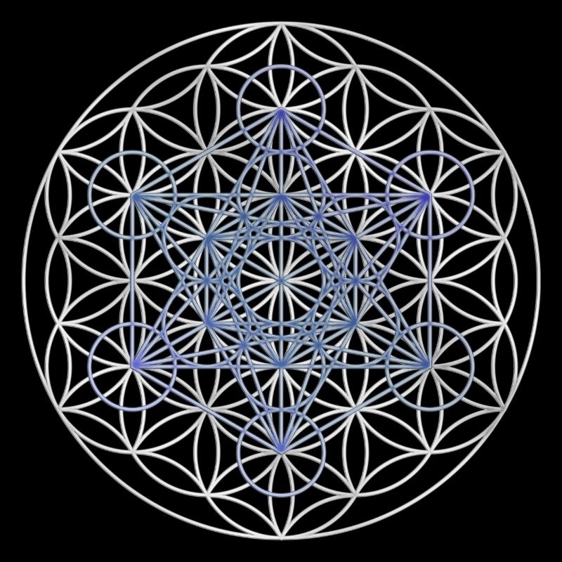 Le cube de Metatron - Fleur de la vie