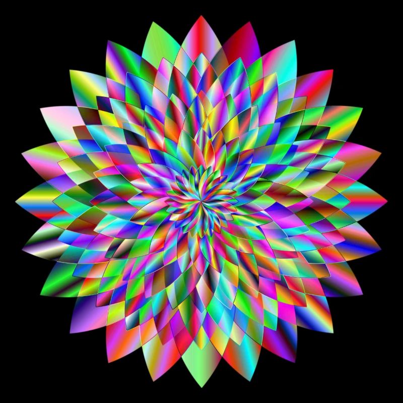 Bunt