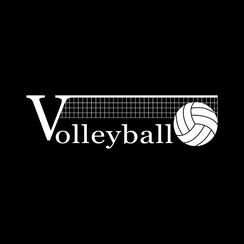 Volleyball - the thing with the net. And about it.