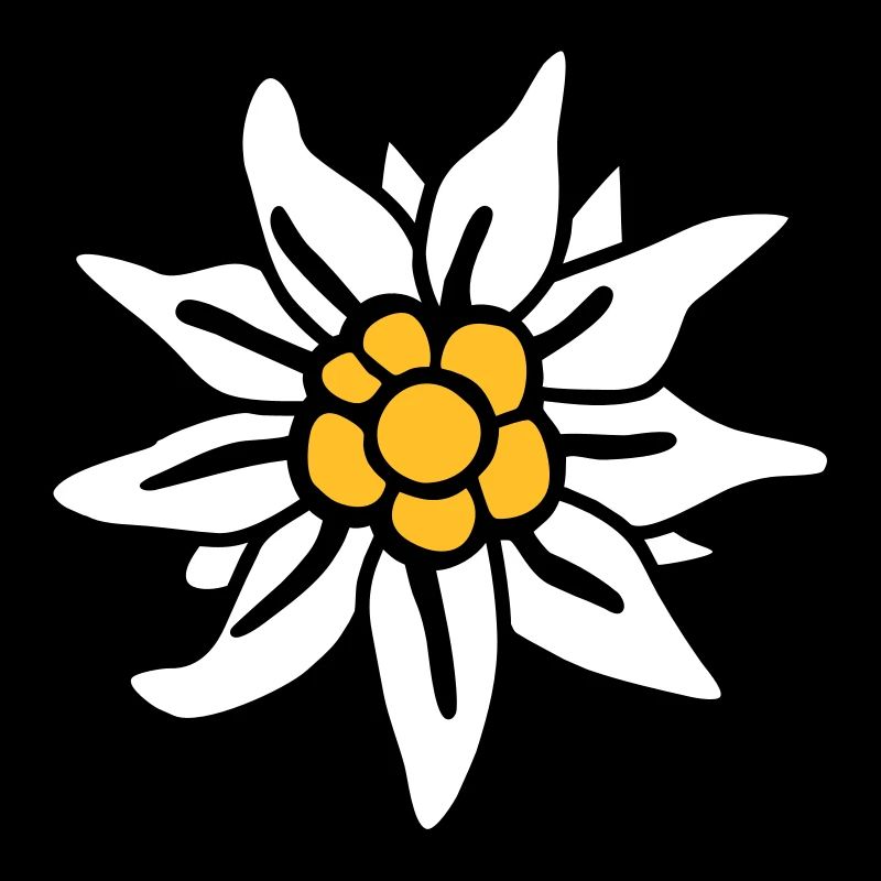 Edelweiss - - Wiesn -