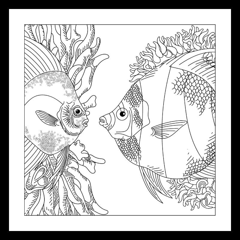 Ocean Coral Fish