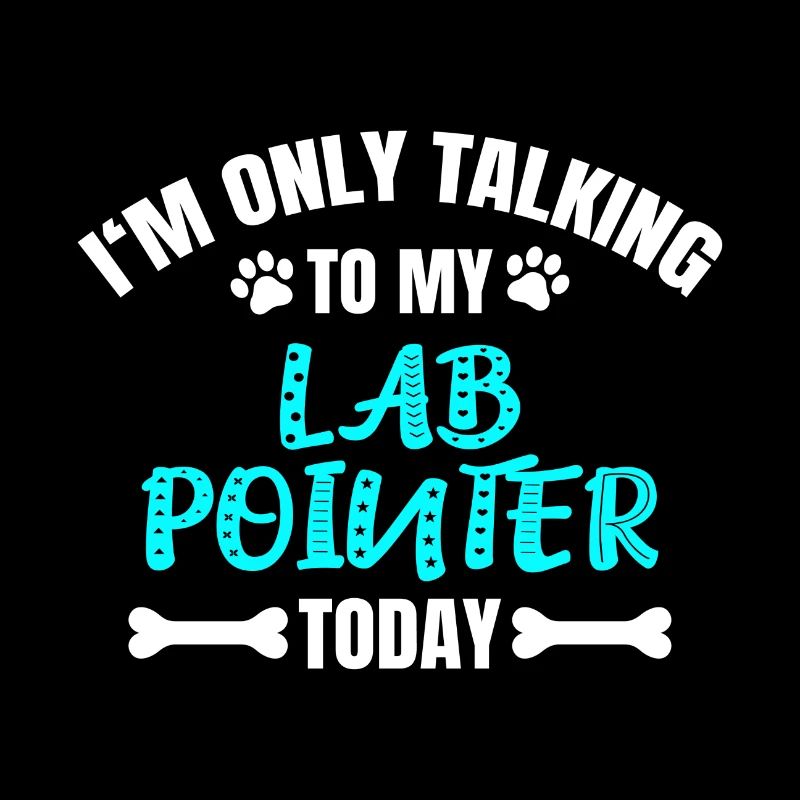 Lab Pointer