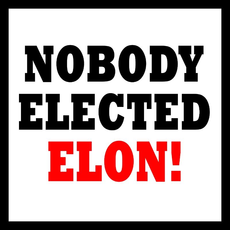 nobody elected elon