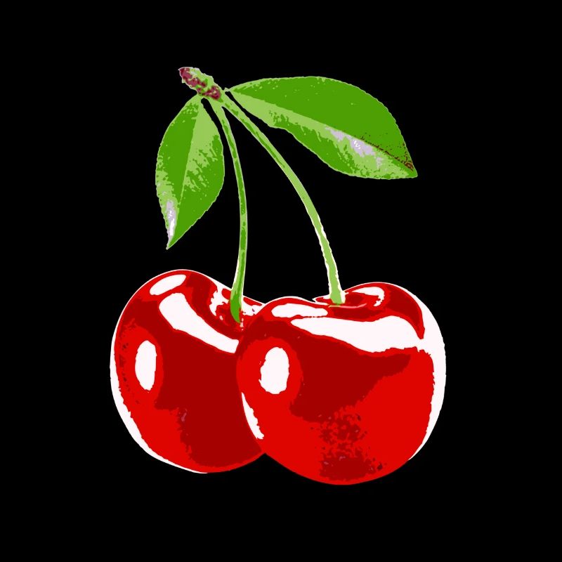 Cherry cherry fruit harvest