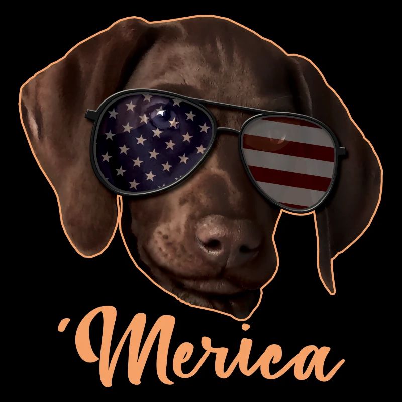Merica Pointer 4th Of July Gift