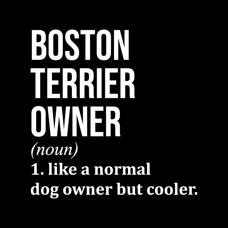 Boston Terrier