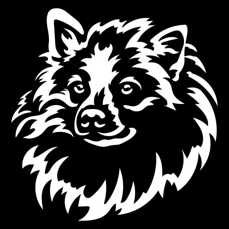 Spitz Kopf "Black Edition"