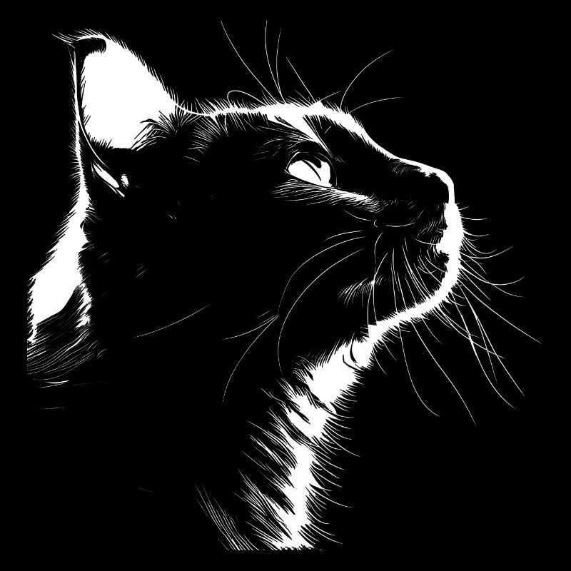 Silhouette Cat